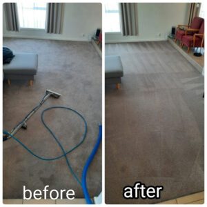 carpet cleaning geelong